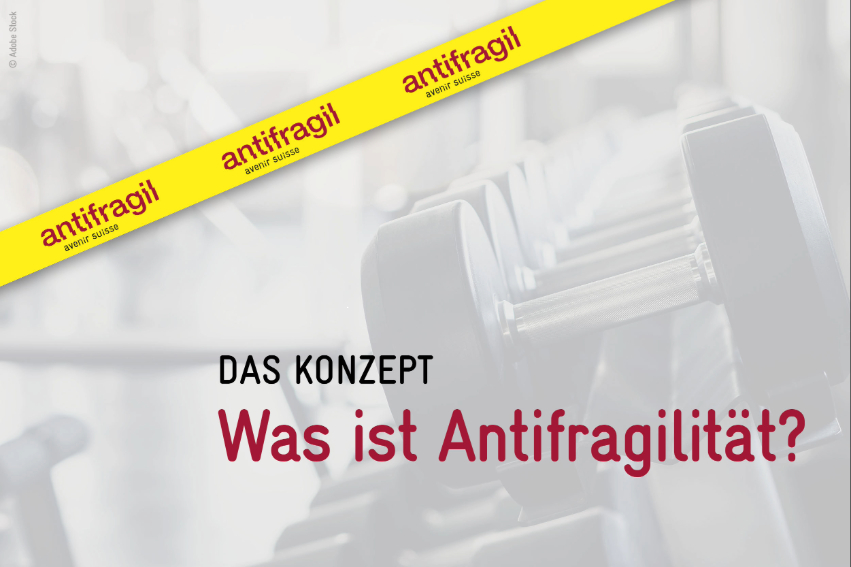 Das Konzept