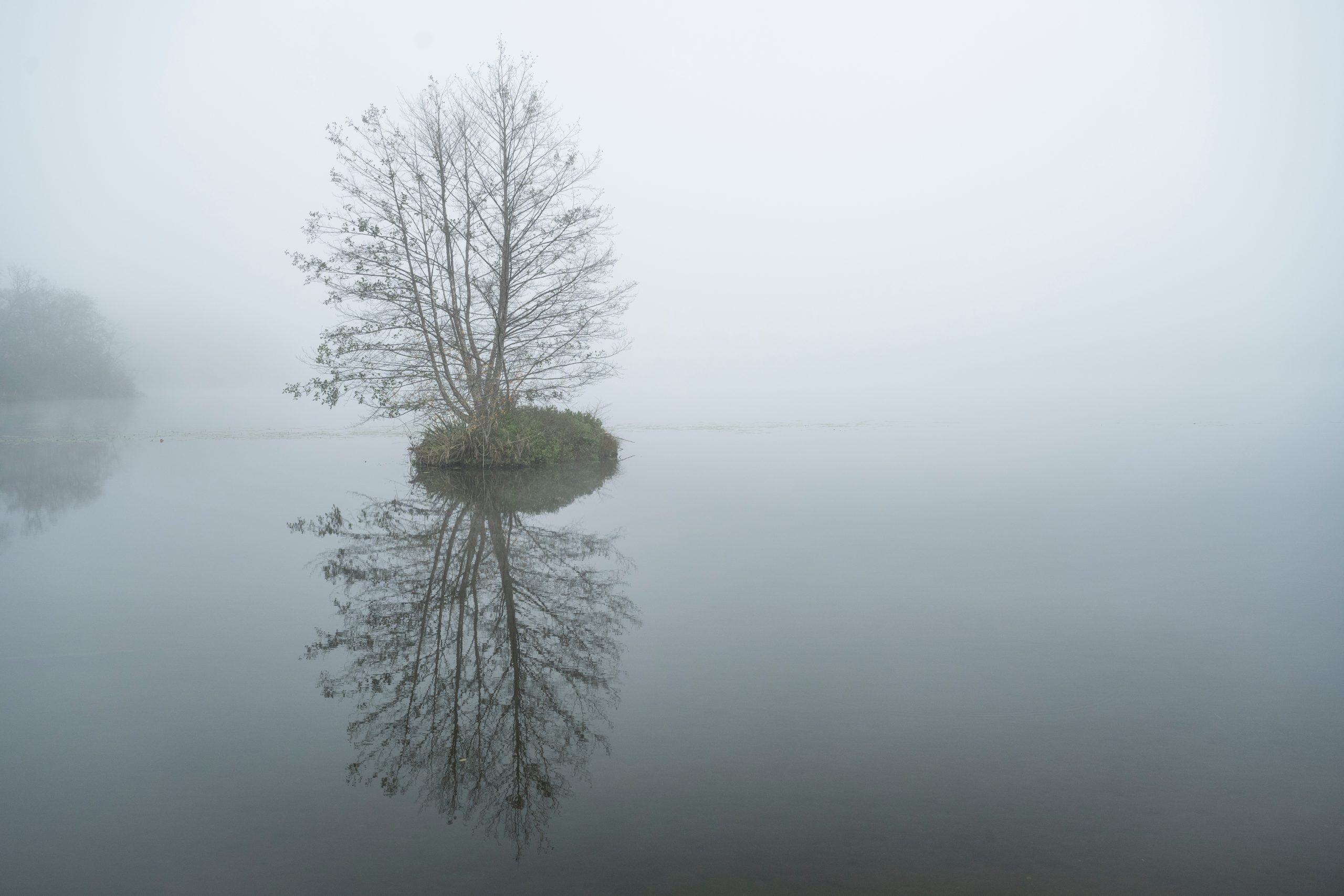 Wie-wir-die-Welt-durch-Filter-sehen-und-dabei-unsere-Freiheit-verlieren